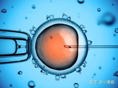 湖北咸宁供卵试管婴儿医院哪家好？如何选择合适的供卵试管婴儿