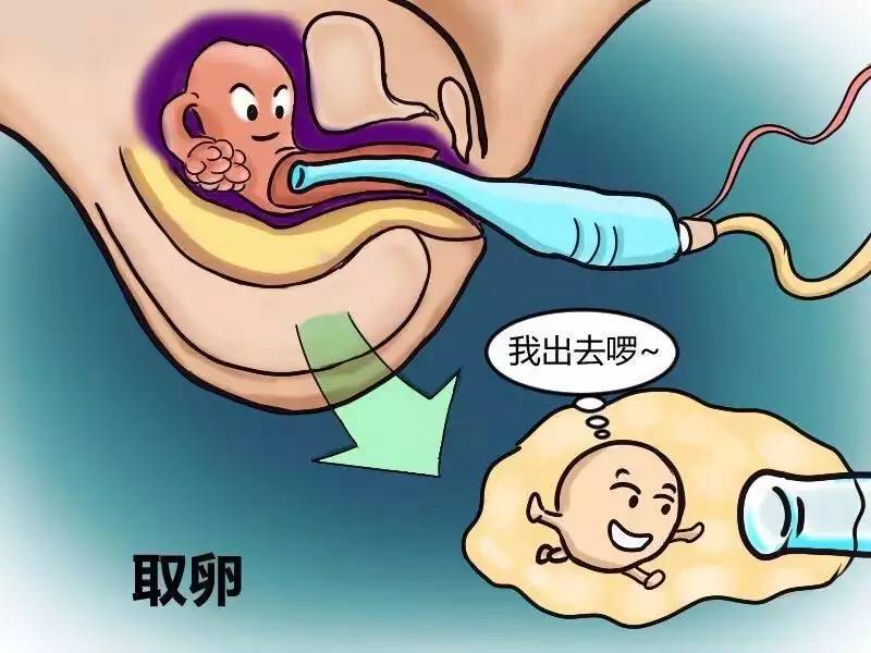 咸宁赠卵试管婴儿成功案例(经验分享)