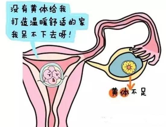 咸宁市妇幼保健院供精试管婴儿费用