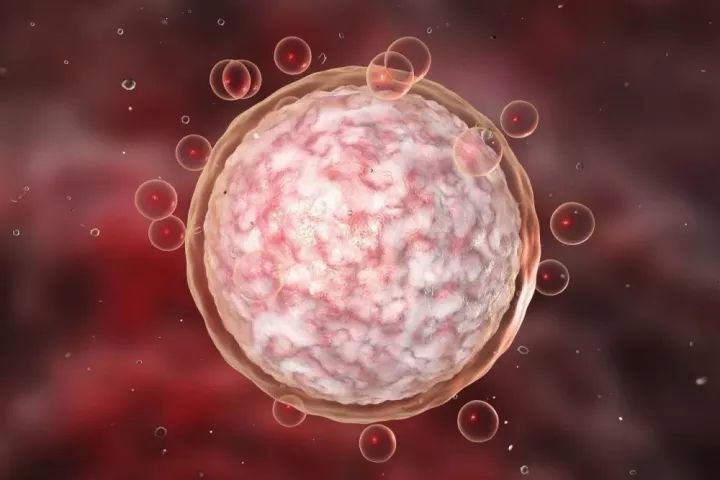 咸宁第三代供卵试管婴儿骗子的费用是多少