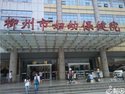 借卵试管婴儿会影响生育能力吗？有什么影响？