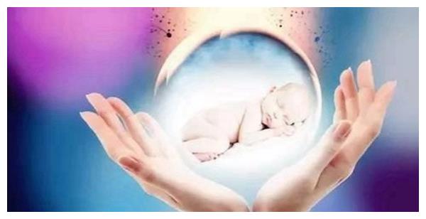 丈夫在借卵做试管婴儿移植期间意外死亡，妻子拒绝继续手术