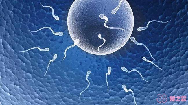 如何保证在高龄时做供卵试管代生供卵成功？专家告诉你
