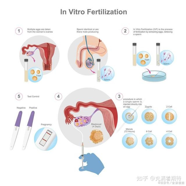 南昌大学第一附属医院的借精助孕代怀试管费用