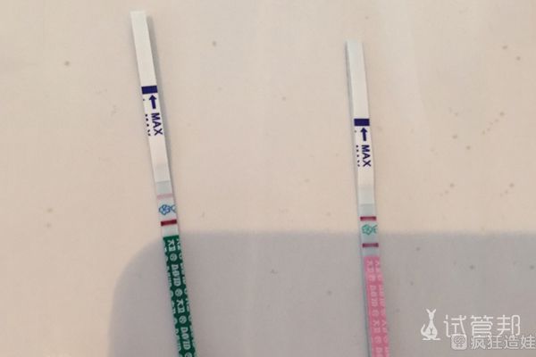 供卵做试管婴儿可以选择性别吗