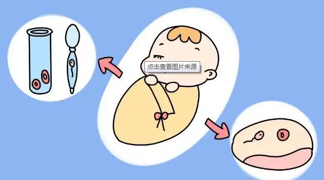 借卵做试管多次不着床查什么