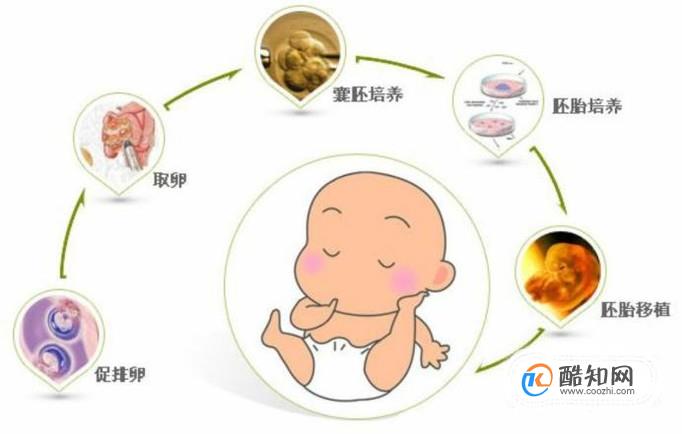 去武汉市做供卵试管婴儿