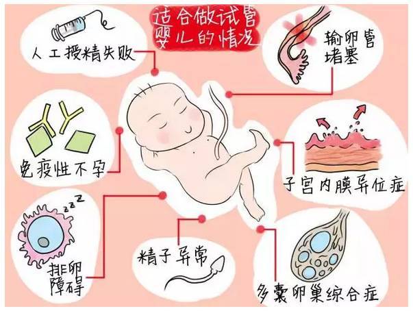轻度宫腔粘连借卵做试管移植着床了