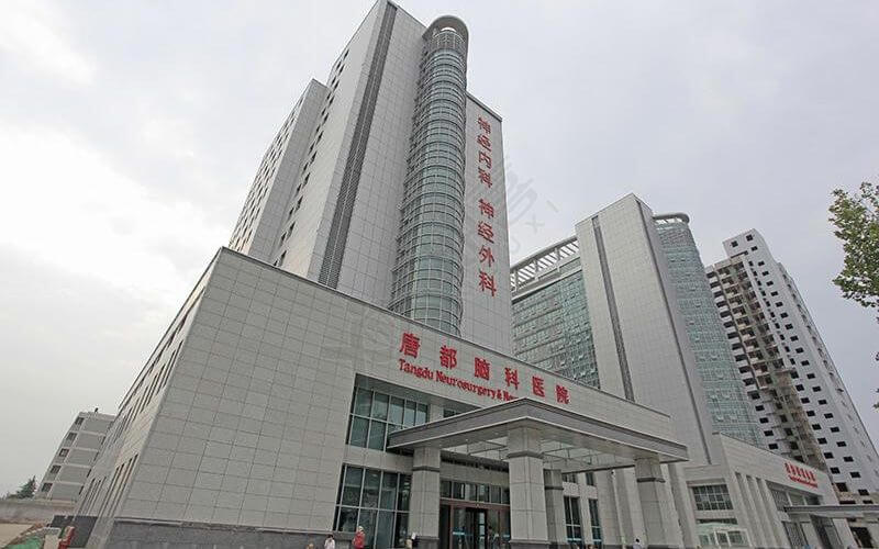 邵逸夫医院借卵试管婴儿专家