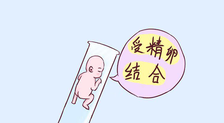 湖北医科大学附属医院试管婴儿三代