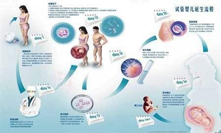 湖北医科大学附属医院试管婴儿三代