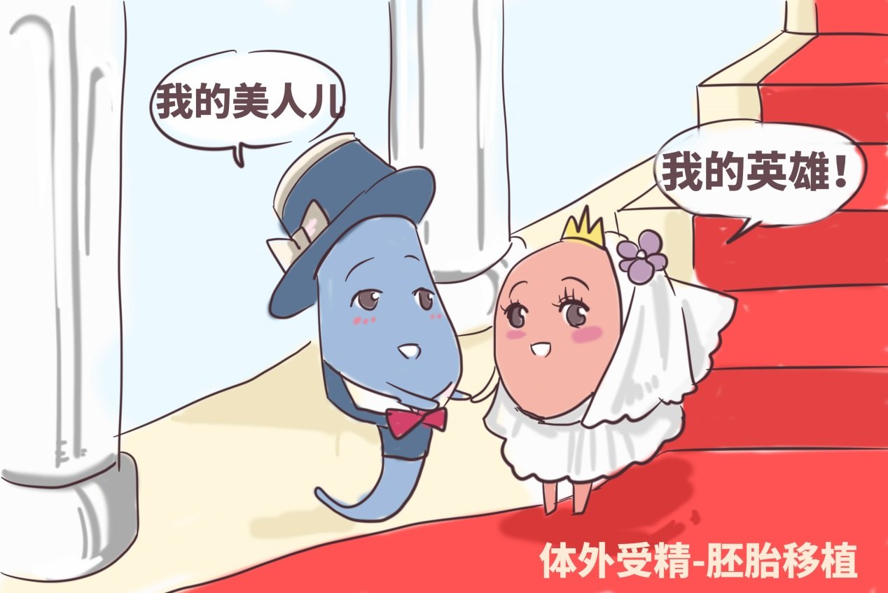 试管婴儿能筛选遗传性基因