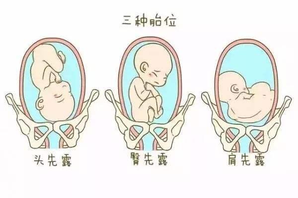 湖北武汉第九人民医院试管