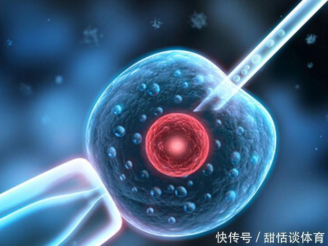 第三代试管婴儿武汉市信赖