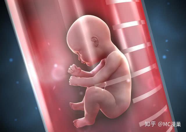 高龄试管代怀儿有什么风险？评估女性生殖系统指针指南