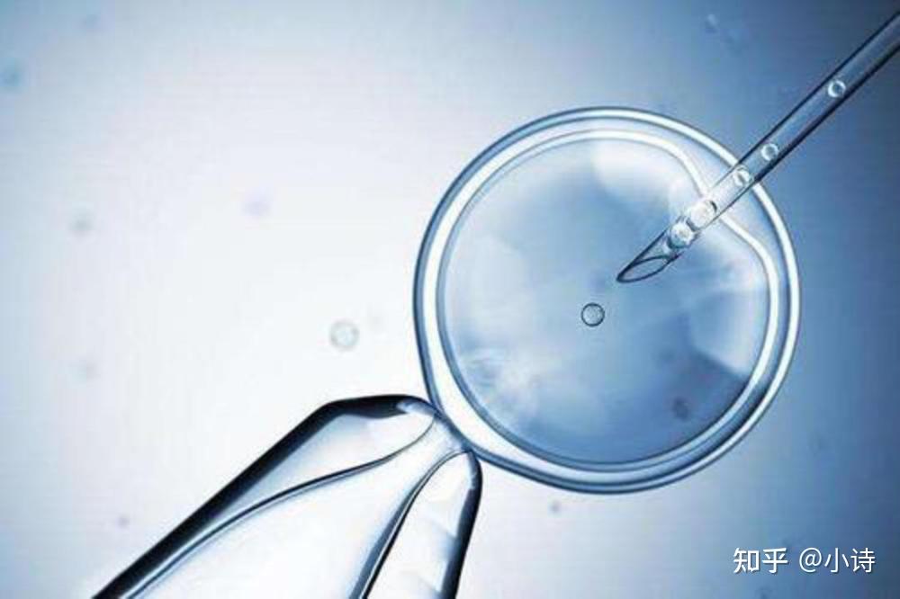 商业化试管代怀移植后怎么确定成功了