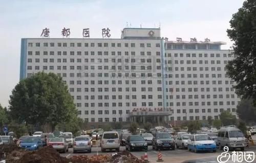 三代国内代生孩子可靠吗优势及劣势有哪些？