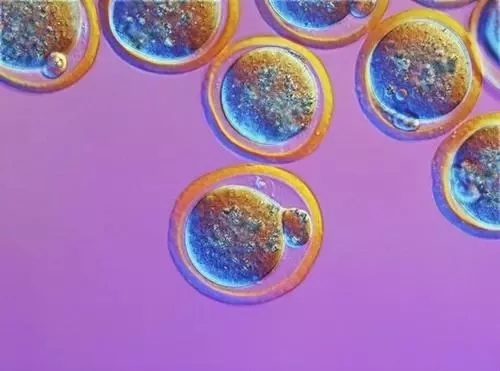 2024年做第三代做试管代怀产子包生女孩的价格标准是多少+