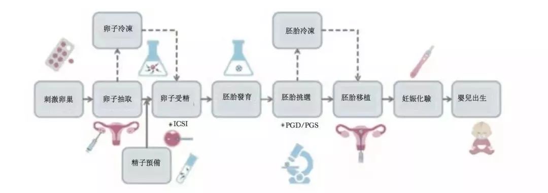 供卵如何看待试管代怀行为技高湖北武汉