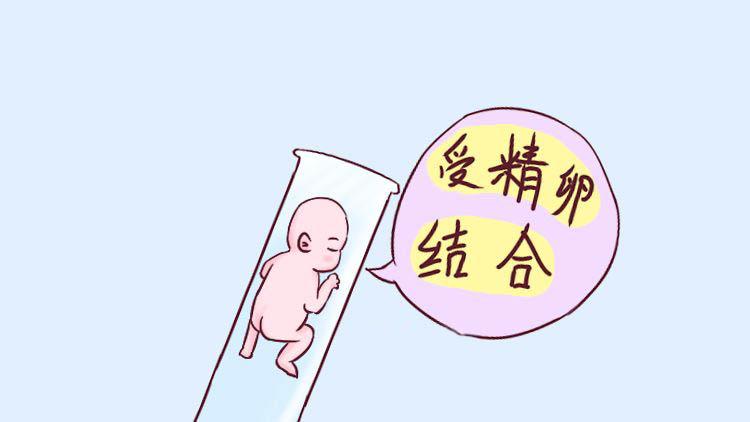 做试管代怀包成功女性需要具备的条件