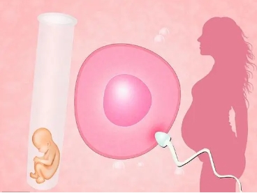 双胞胎电影最后的结局是什么这6点影响健康使命中心机构做供卵成功率