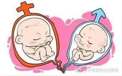 出血性输卵管炎是否影响做武汉医院包生男孩试管成功率