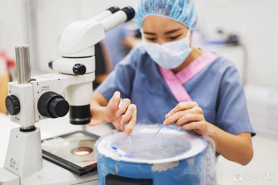 哪可以代生胚胎质量如何_正规三代试管助孕机构如何提高胚胎质量